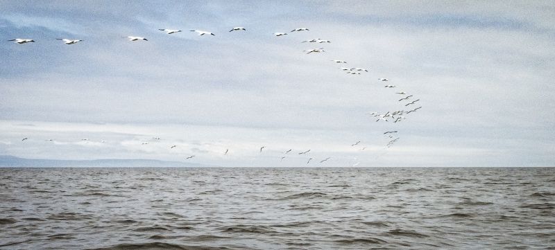 Port Logan to Machrihanish